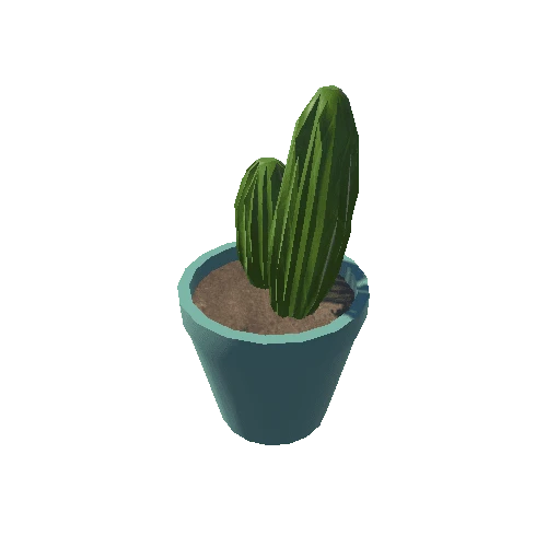 Cactus 2